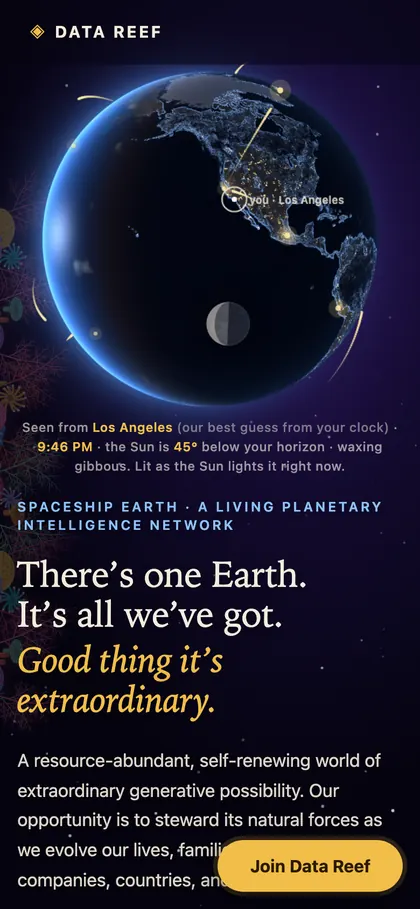 Data Reef’s landing page on a phone